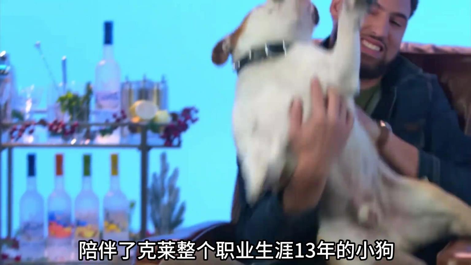 陪伴克萊13年的小狗去世了，不敢相信克萊得多么傷心